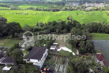 Affordable Bali Real Estate: Leasehold 2330 sqm Land in Prime Tabanan Location with High ROI Potential