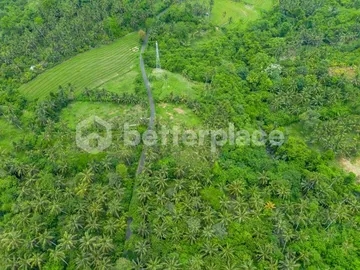 Discover Peaceful Living in Bali – Stunning 2,990 sqm Freehold Land in Balian with Lush Jungle and River Views
