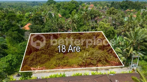 Prime Hospitality-Ready Land in the Heart of Sayan, Ubud