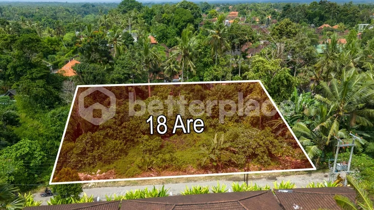 Prime Hospitality-Ready Land in the Heart of Sayan, Ubud