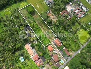 Exclusive Leasehold Land Offering in Ubud Perfect for Development