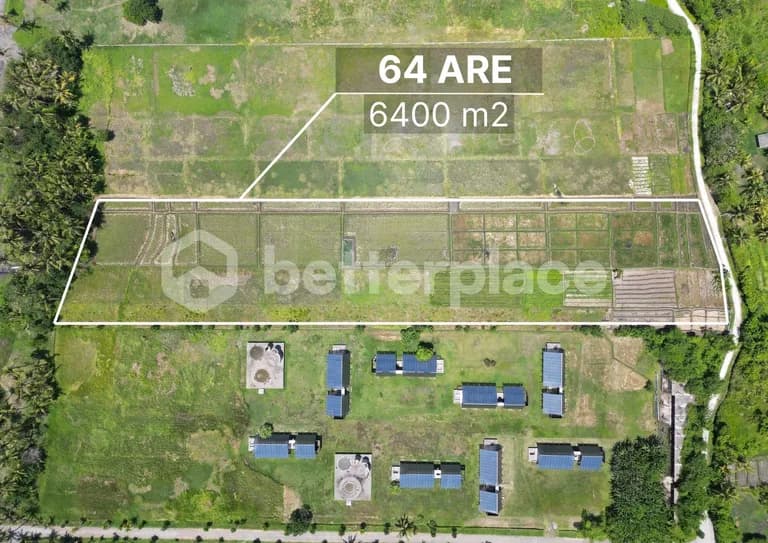 Seaside Serenity Beckons: Premier Beachfront Leasehold Land in Kedungu – Craft Your Balinese Retreat!