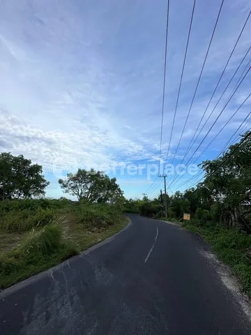 Investment Opportunity, Prime Freehold Land in Ungasan
