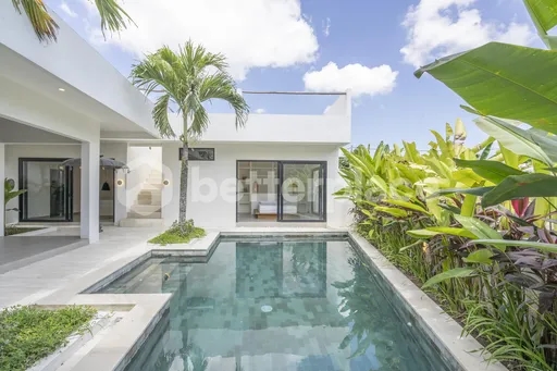 Brand New Stylish Modern 3 Bedroom Villa in Tumbak Bayuh with Rooftop