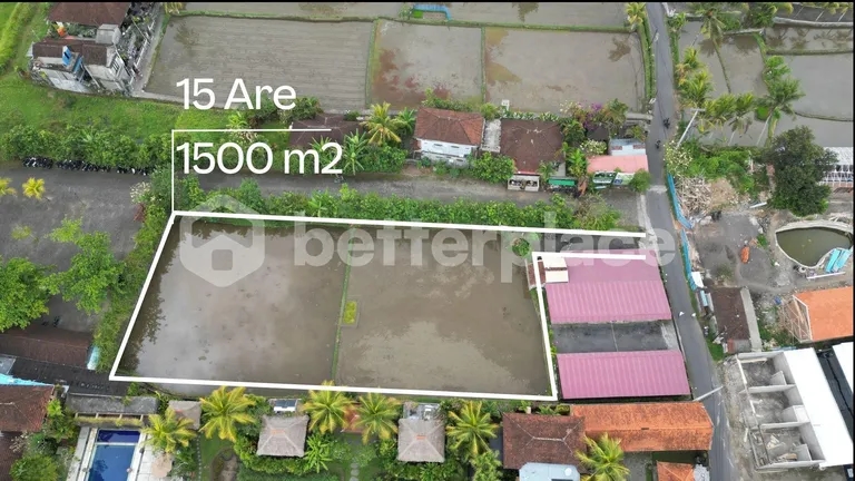 Investor’s Gem 1500 sqm Leasehold Land in Sawah Indah, Ubud