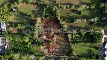 Prime Leasehold Land in Bukit – Bingin: Perfect Opportunity for Development in Bali’s Trending Area!