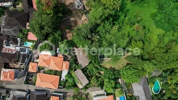 Prime 20-Are Land in Padonan, Canggu – Ideal for Investment
