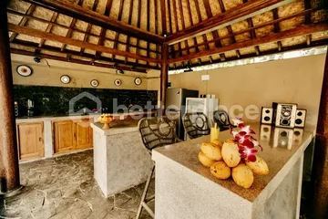 Ultimate Relaxation Jungle View Villa with Saltwater Infinity Pool in Ubud