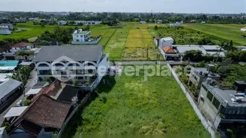 A Rare Coastal Investment in Kedungu: Prime Leasehold 5.3 are Land with Rice Field Views Just Moments from the Beach