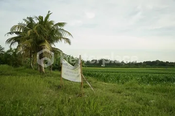 Prime 1340 sqm Land in Beraban – Tabanan, Ideal for Investment