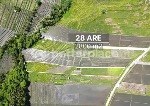 Land of Dreams: Exclusive Leasehold Opportunity in Kedungu – Craft Your Bali Oasis!