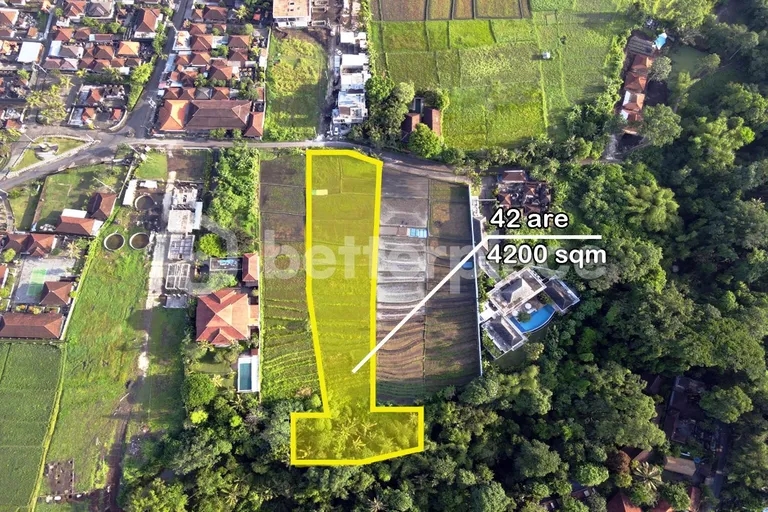 Exclusive Leasehold 4200 sqm Land in Buwit, Tabanan – Perfect for Luxury Villas or Boutique Development