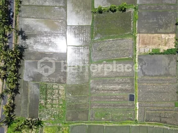 Seaside Dreams Unleashed: Exclusive Leasehold Land in Pangkung Tibah – Kedungu Awaits Your Vision