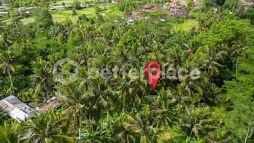 Freehold Land Surrounded by Nature in Sidan, Ubud
