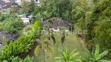 2 Bedroom Villa with Expansive Yard, Private Pool, and Exceptional Long–Term Investment Value in Tumbak Bayuh, Canggu