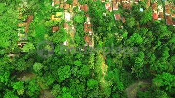 Prime Leasehold Land in Buwit, Tabanan: 500 sqm with Stunning Natural Views