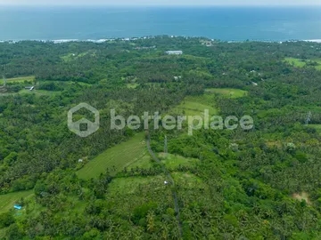 Prestigious 23.9 are Freehold Jungle Land in Balian – A Rare Investment Opportunity Blending Natural Serenity with Coastal Elegance