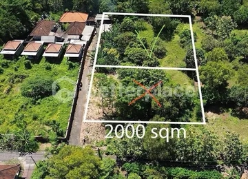 Prime Investment Opportunity, Unveiling the Potential of Nyang-Nyang’s Serene 10 Are Gem