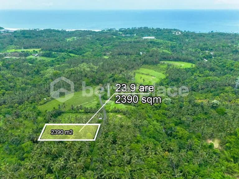 Prestigious 23.9 are Freehold Jungle Land in Balian – A Rare Investment Opportunity Blending Natural Serenity with Coastal Elegance