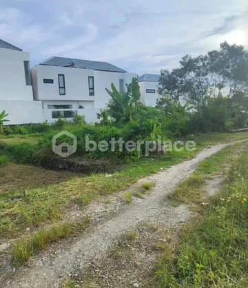 Prime Freehold Land with Rice Field View near Pantai Lima