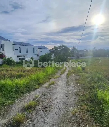 Prime Freehold Land with Rice Field View near Pantai Lima