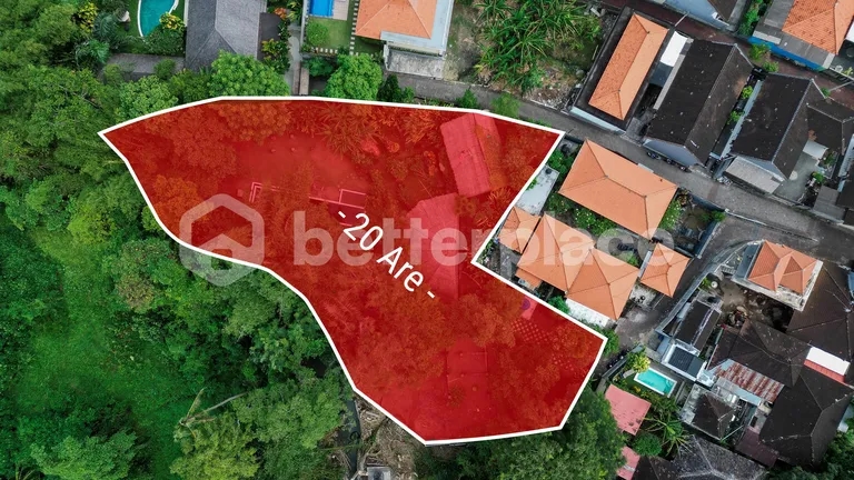 Prime 20-Are Land in Padonan, Canggu – Ideal for Investment