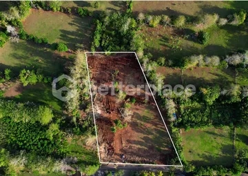 Prime Leasehold Land in Bukit – Bingin: Perfect Opportunity for Development in Bali’s Trending Area!