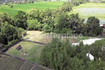 Affordable Bali Real Estate: Leasehold 2330 sqm Land in Prime Tabanan Location with High ROI Potential