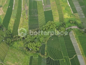 Prime 19,5 Are Freehold Land in Kedungu – A Growing Investment Opportunity