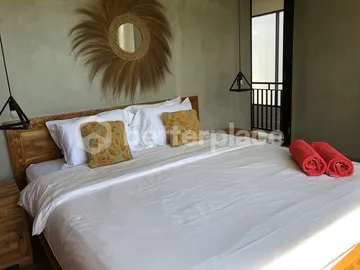 Brand New Leasehold 2 Bedrooms Villa in North of Canggu