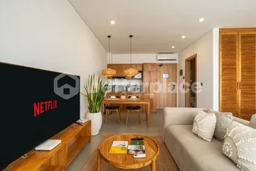 Modern Design and Brand New 1 Bedroom Apartment in Berawa