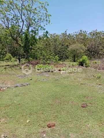 Leasehold 1,430 sqm Land in Balangan — 7 Minutes to Balangan Beach , High Potential Investment Opportunity