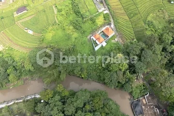 A Rare Investment Opportunity: Spacious Leasehold Residential 24.5 are Land in the Heart of Bali’s Green Oasis