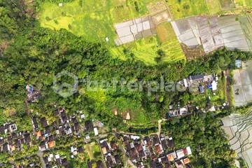 Unique Leasehold 6100 sqm Land in Kaba Kaba, Tabanan – Residential Plot with Great ROI Potential and Scenic Views
