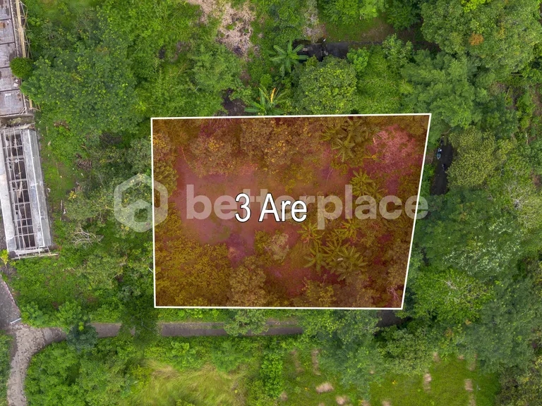 Balanced-Size Land with Flexible Development Potential in Ungasan