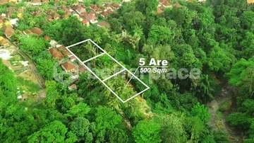 Prime Leasehold Land in Buwit, Tabanan: 500 sqm with Stunning Natural Views