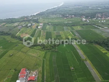 Prime 19,5 Are Freehold Land in Kedungu – A Growing Investment Opportunity