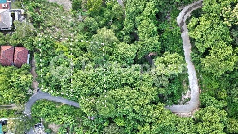 250 Sqm Land for Sale in Lembongan Island, Your Ideal Investment