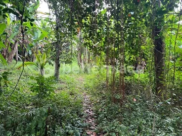 Investment Opportunity, 1,900 sqm Land in Ubud, Pejeng