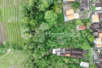 Your Dream Property Starts Here – 263 Sqm Leasehold Land in Prestigious Canggu