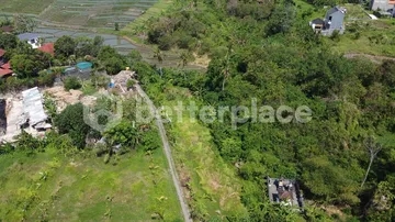 Exceptional Leasehold Land Opportunity in Tumbak Bayuh, Canggu – Stunning Riverfront Property with Rice Field Views