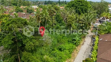 Prime Hospitality-Ready Land in the Heart of Sayan, Ubud