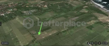 Land of Dreams Unveiled: Leasehold Paradise in Tampih – Kedungu – Craft Your Balinese Escape!