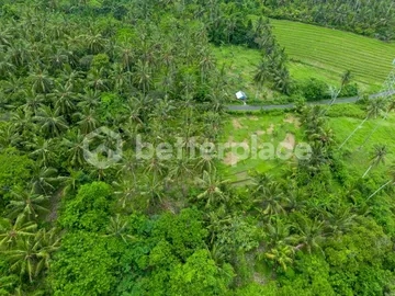 Prestigious 23.9 are Freehold Jungle Land in Balian – A Rare Investment Opportunity Blending Natural Serenity with Coastal Elegance