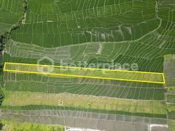 Prime 68.36 Are Pink Zone Land in Cemagi, Ideal for Development, 3 Minutes Away From the Beach