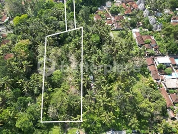 Unlock Potential 3910 sqm Leasehold Land in Lodtunduh