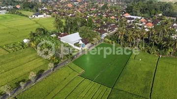 A Visionary Investment in Bali’s Emerging West – Expansive Leasehold 16.5 are Land Framed by Rice Fields, Sunrise Skies, and Mount Agung