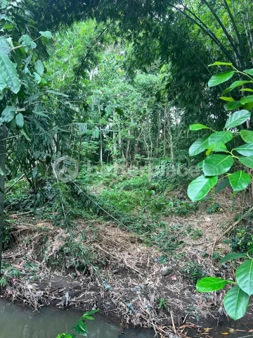 Nature Backed 675 Sqm Land in Tumbak Bayuh with Unique Villa Project – 10 Minutes to Pererenan Beach