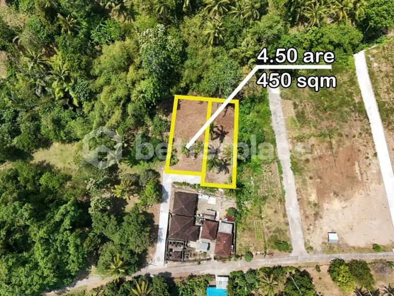 Your Gateway to Bali Luxury Real Estate – 450 sqm Freehold Land in Balian Surrounded by Jungle, Ideal for Residential or Investment Use