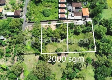 Prime Investment Opportunity, Unveiling the Potential of Nyang-Nyang’s Serene 10 Are Gem